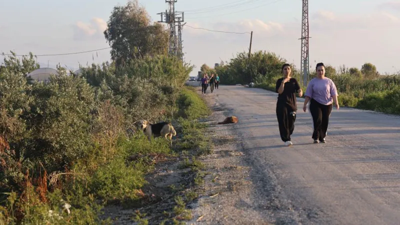 4 mahallede kuduz karantinası! Vatandaşlar tedirgin