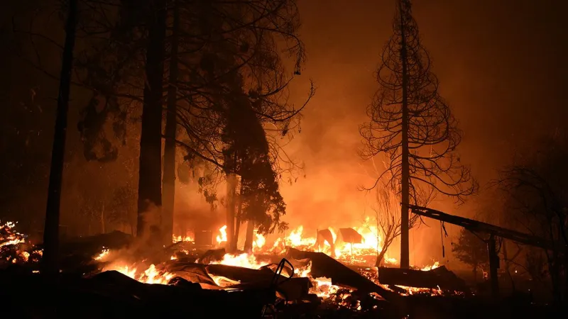 California'da Dehşet! Yangınlar 34 Bin Hektarı Kül Etti!