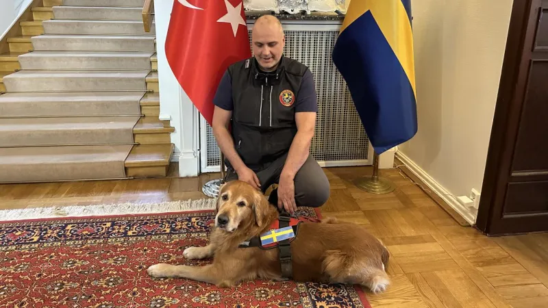 Kahraman Köpek Killian Hayatını Kaybetti! Türkiye'nin Acısı Büyük