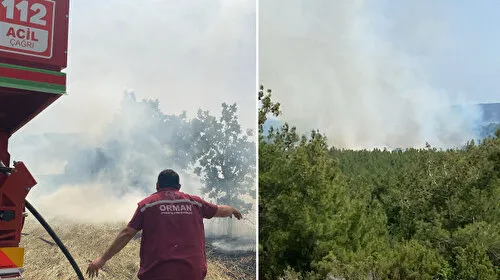 Çanakkale'de Korkutan Yangın! İşte Son Durum