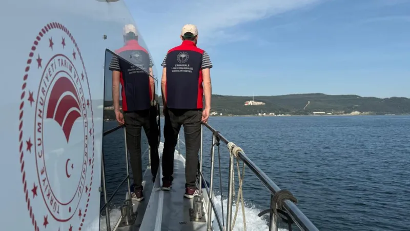 Ahtapot Katliamı Son Anda Önledi! 320 Tuzak Toplandı