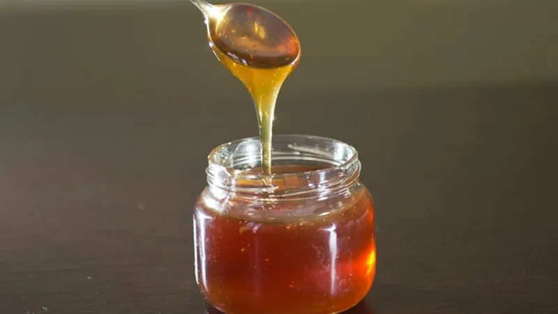 Doğu Karadeniz'in 10 aylık bal ihracatı 1,8 milyon doları aştı