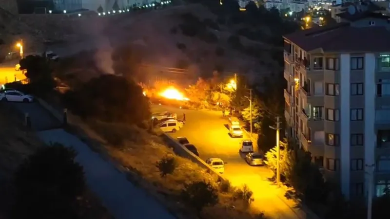 Elazığ’da ot yangını