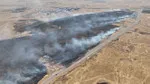 Gaziantep'te Zeytinlikler Alev Alev! 10 Saat Süren Anız Yangını Felaketi