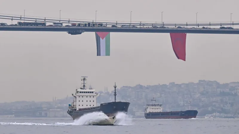 İstanbul Köprüleri Filistin Bayraklarıyla Donatıldı! Neden?