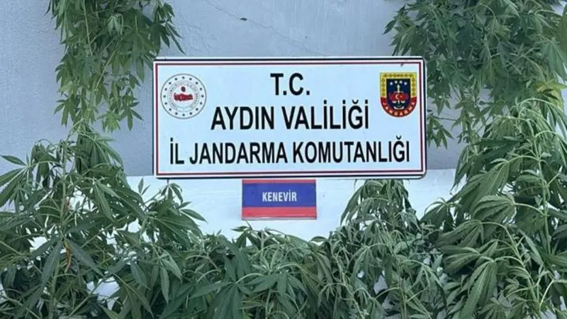Aydın'da Uyuşturucu Operasyonu! 16 Kişi Gözaltında