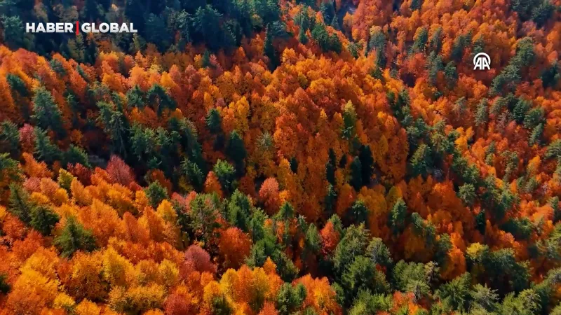 Kahramanmaraş'taki "Geben Vadisi" milli park ilan edildi