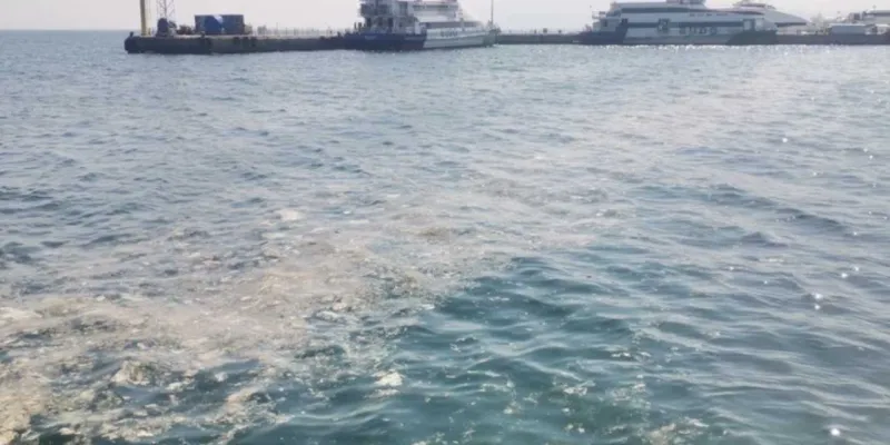 Marmara'da müsilaj yine gündemde!