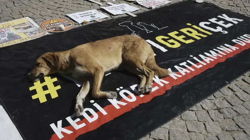 AYM Katliam Yasası Kararı: Ankara Barosu'ndan Şok Tepki!
