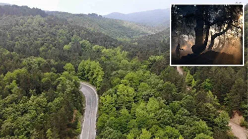 Çanakkale'de Ormanlara Giriş Yasak! İşte Detaylar...