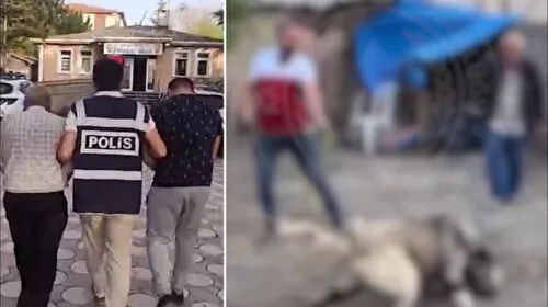Kayseri'de Köpek Dövüşü Baskını! O İki Kişi Tutuklandı mı?