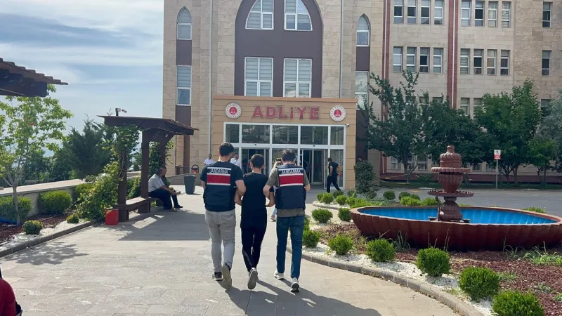 Köpeğe İşkence Eden Sürücü Serbest! Vicdanlar Kan Ağlıyor