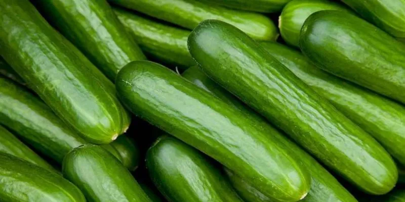Salatalık Alarmı! Tüketmeden İade Edin, Neden mi?