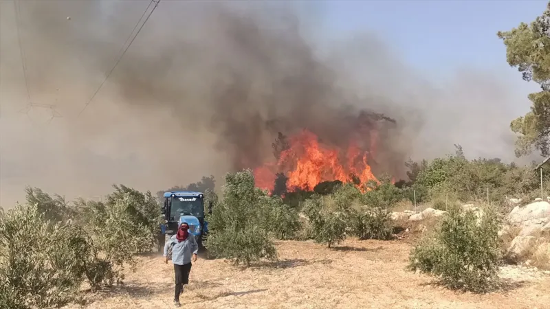 Silifke'de orman yangını