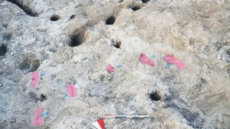 Hatay'da Şaşırtan Keşif! Tarihin Gizemli Ayak İzleri Ortaya Çıktı