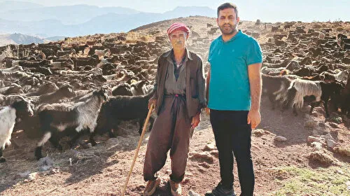 Terör Bitti, Yaylalar Şenlendi! Çobanların Yüzü Gülüyor