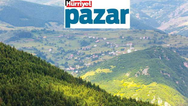 Yeşille mavinin kusursuz uyumu